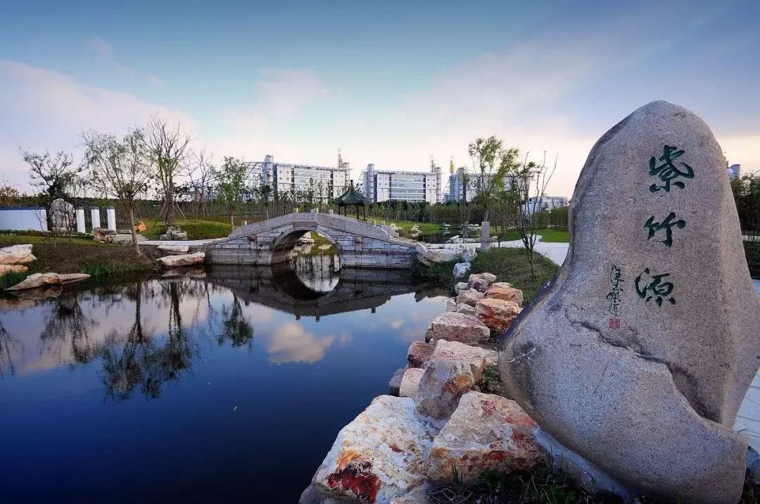 厉害了!上海这10所大学入围2019世界大学排行