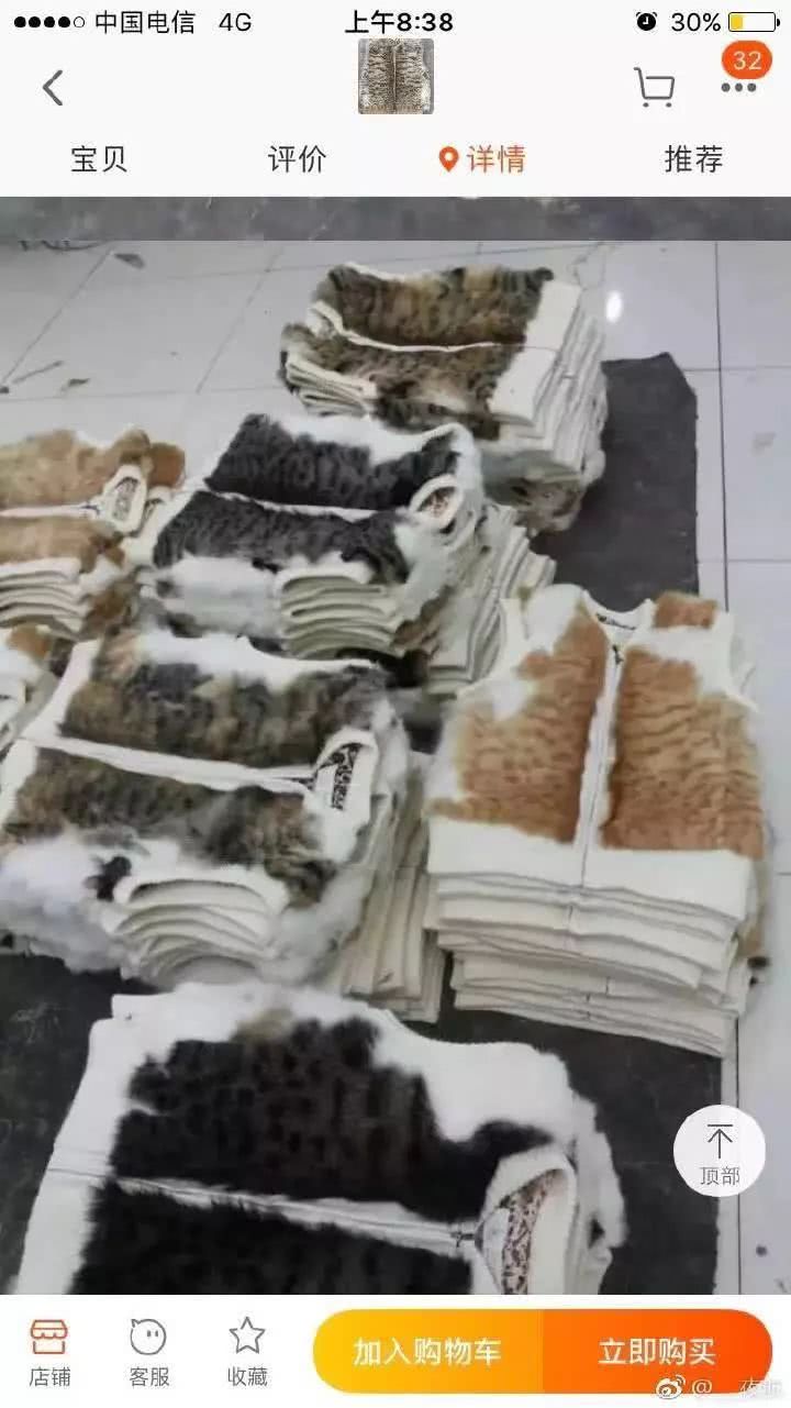 网上有人在卖猫皮草?捕捉流浪猫后扒皮做背心