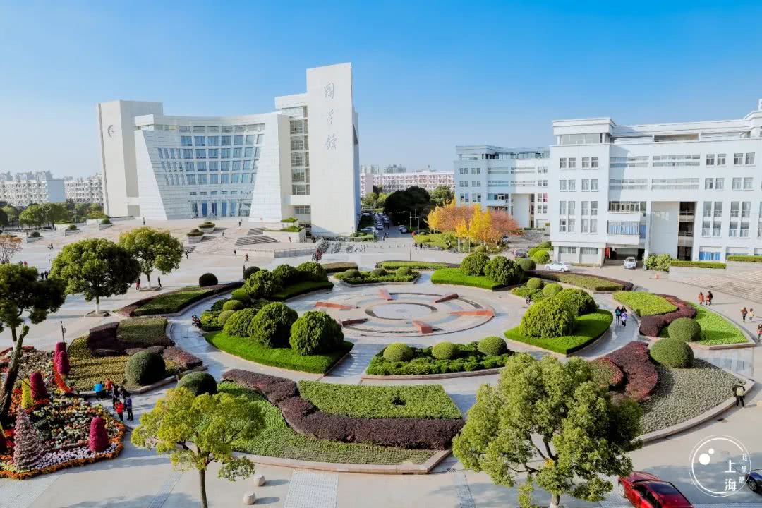 对不起,我要去宝山了!