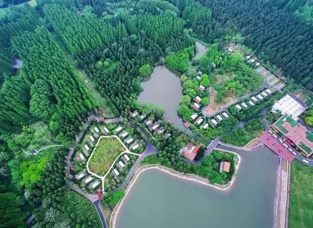 崇明岛经济总量_崇明岛地图(2)