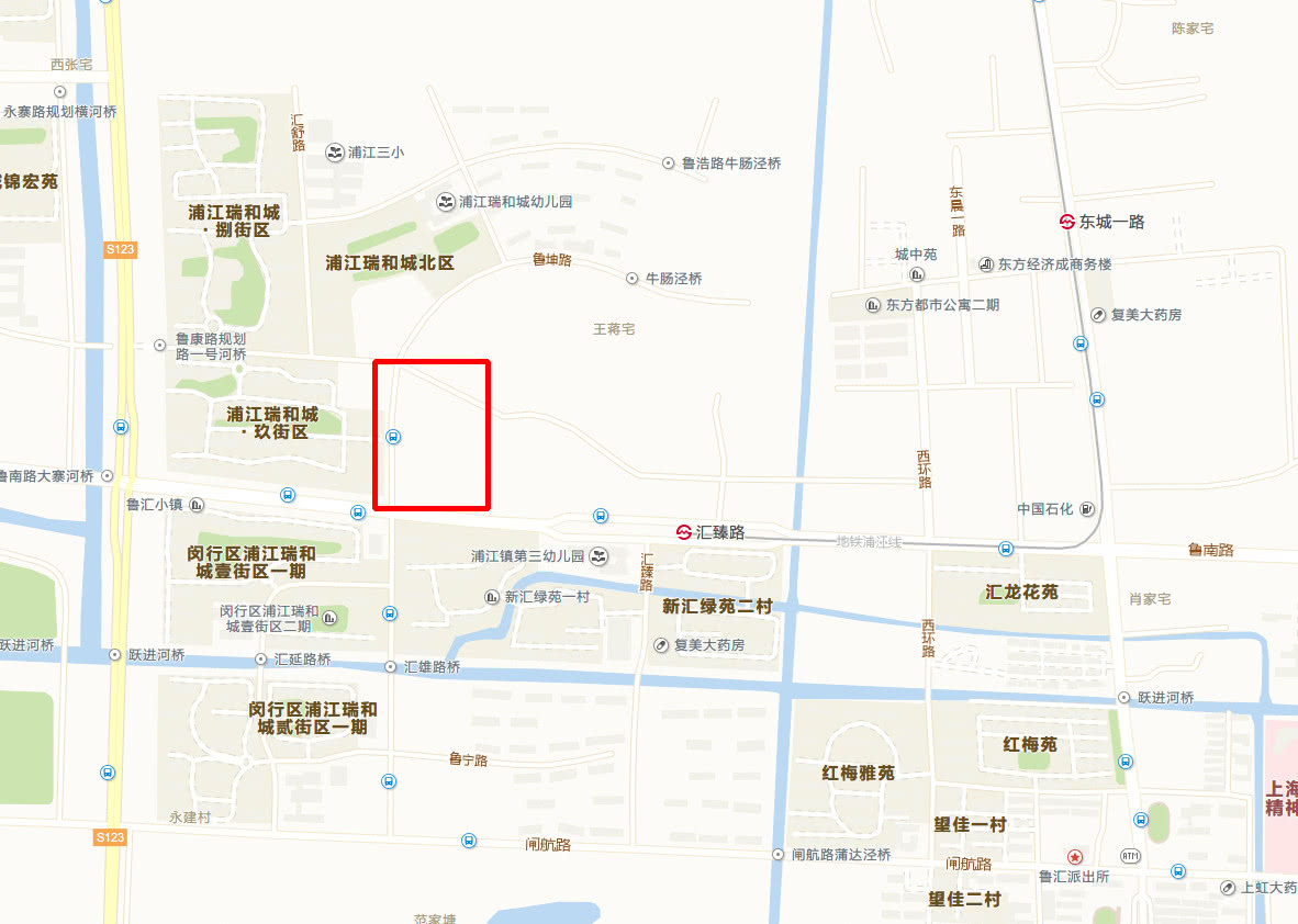 浦江镇人口_党代表支招浦江镇大型居住社区建设