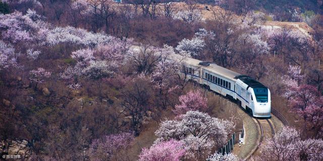 上海地铁17号线地铁站通车仅仅半年,已经成为