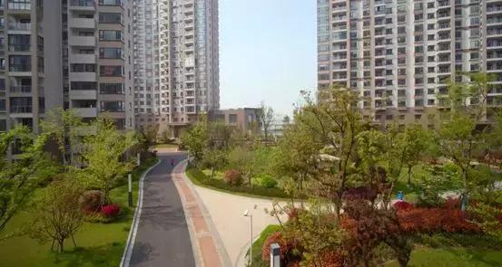 预计2020各市前50名gdp_武打明星前50名照片(3)