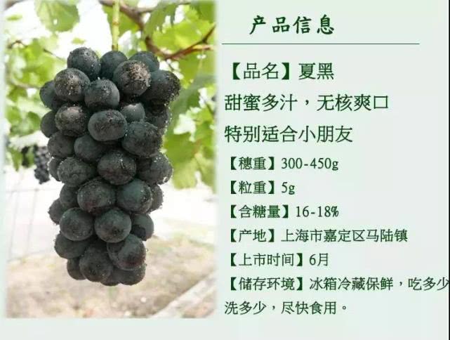 IMGbc305bcbf54a50877101966.jpeg