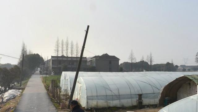 上海市奉贤区西渡街道建筑垃圾堆在农田:城乡