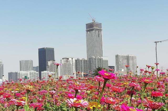 �Ƚ��Ϻ����л������ߵķ�չ��Ψһ�ֶ�����һֱ���������Ļ���