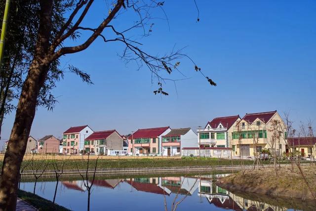 上海市奉贤区柘林镇的美丽乡村建设:城镇化无望,但有生态和旅游
