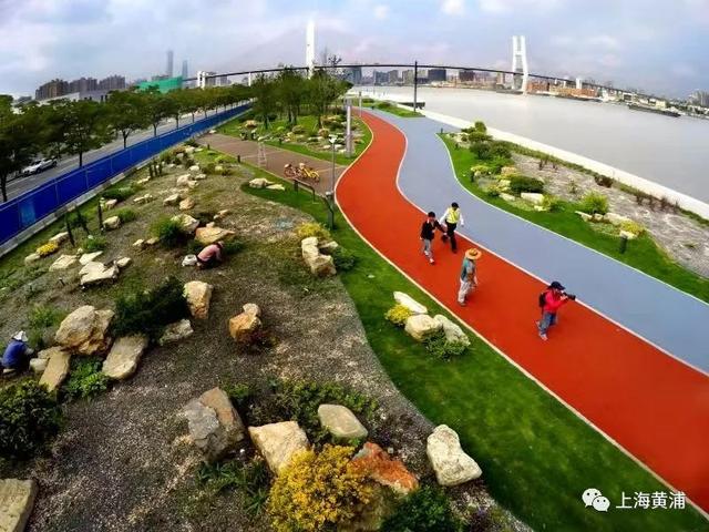 【探索】周末,体验下黄浦“一江一河”滨水区的城市客厅→