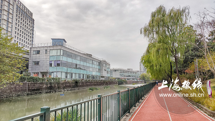 公园与科技知识紧密联系,快来打卡这个走马塘边的宝藏公园吧——上海