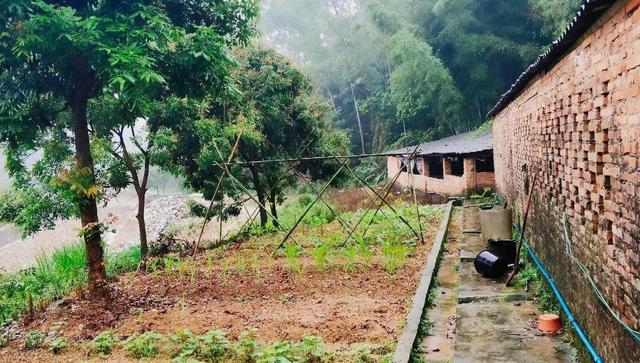 为了父母,他拆掉老宅,建造236㎡别墅,屋顶露台太美了