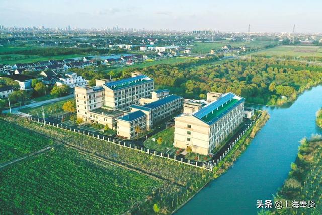奉贤有一家“田园式”生态养老地!就在柘林!