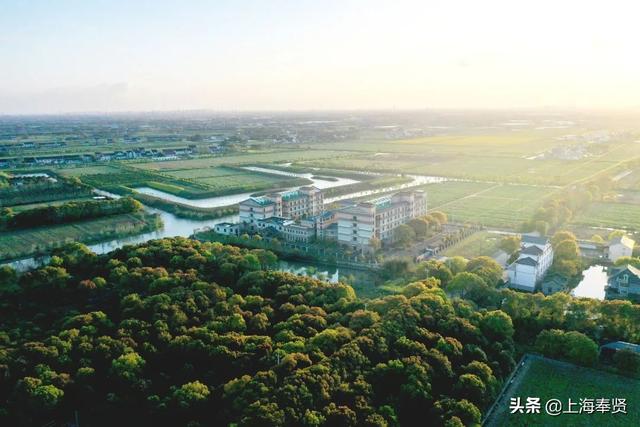 奉贤有一家“田园式”生态养老地!就在柘林!
