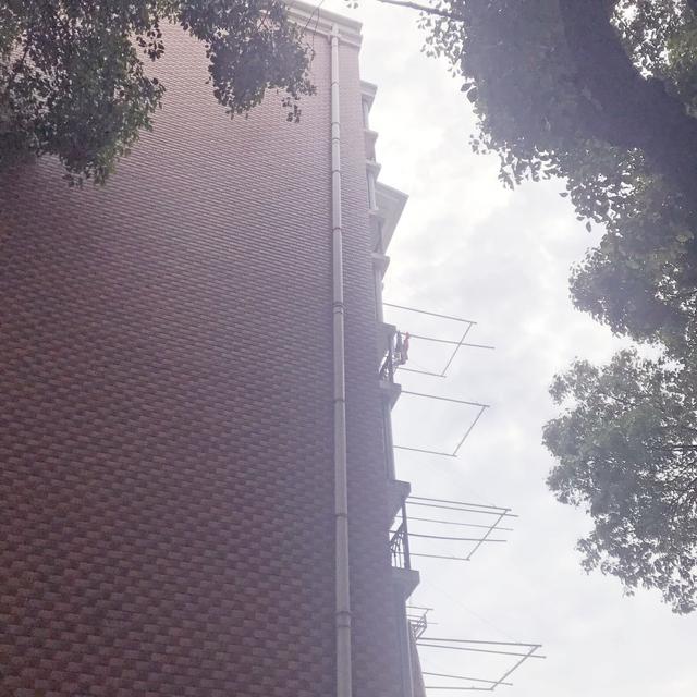 快了快了!沪闵高架两侧将有令人欣喜的变化