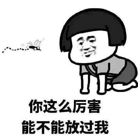 IMGbc305bcbf54a57564211399.jpeg