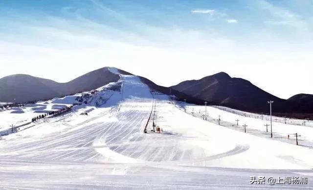 上海的冬奧氣氛就藏在這些雪場冰場裡這份盤點快收好