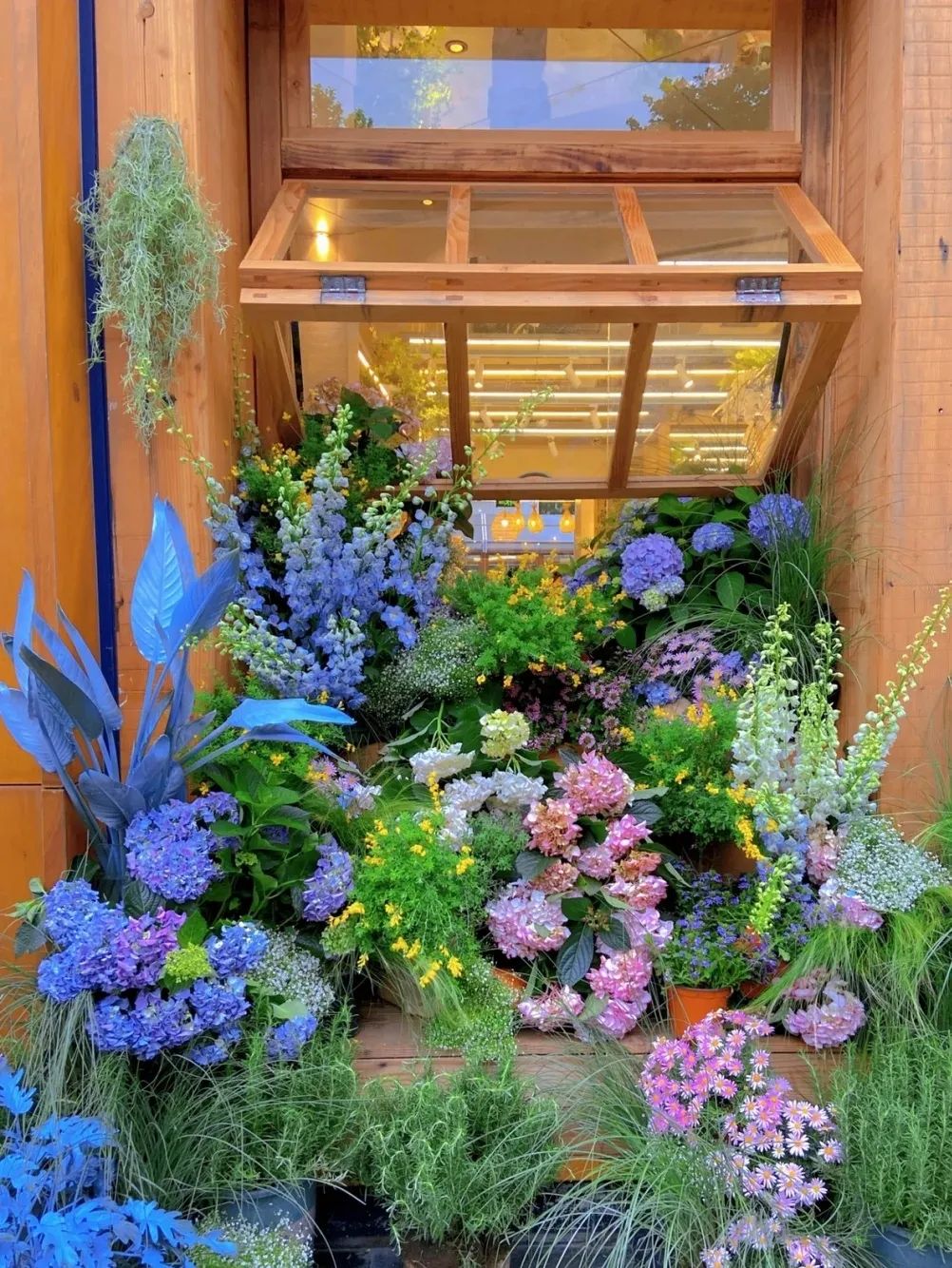 申城的鲜花市场迎来复苏!——上海热线hot频道