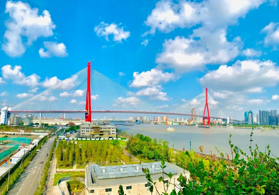 欧亿2注册登录打造“世界级城市会客厅”，这里是杨浦滨江