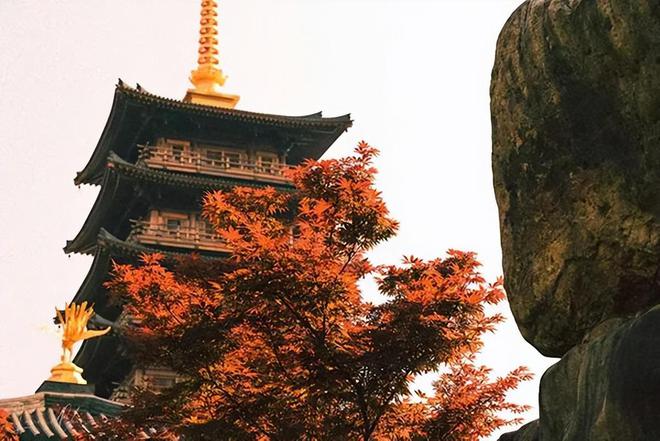 藏不住了上海这座古风园林火了近千年第一座七层金塔上线一秒穿越回