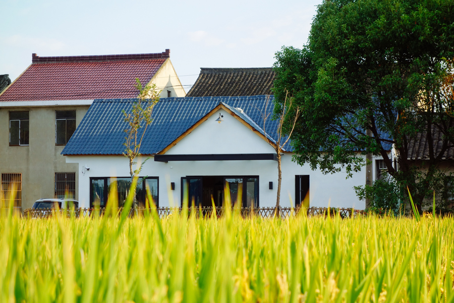 上海的年轻人开始"爆改"乡村老宅