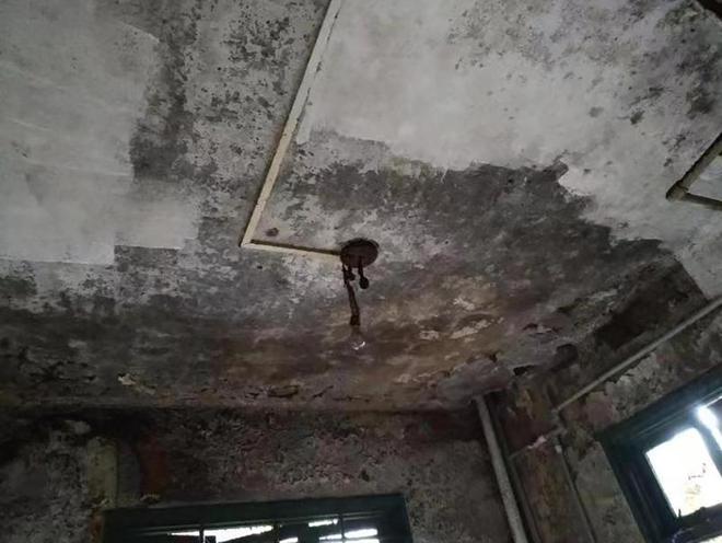 IMGb8ca3abea89366332835935.jpeg