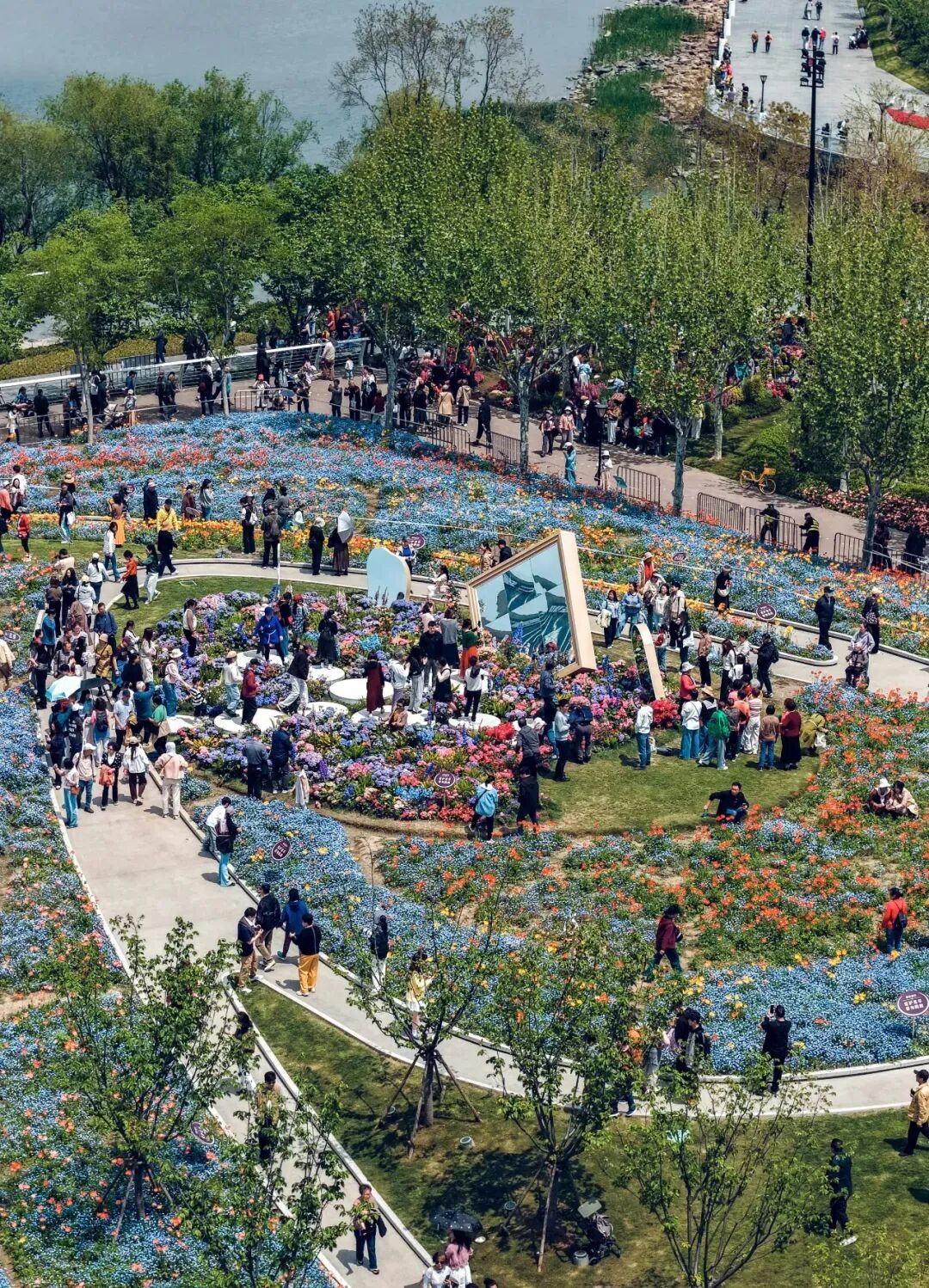 前滩的春天，人人都是“花”样玩家——上海热线热透社