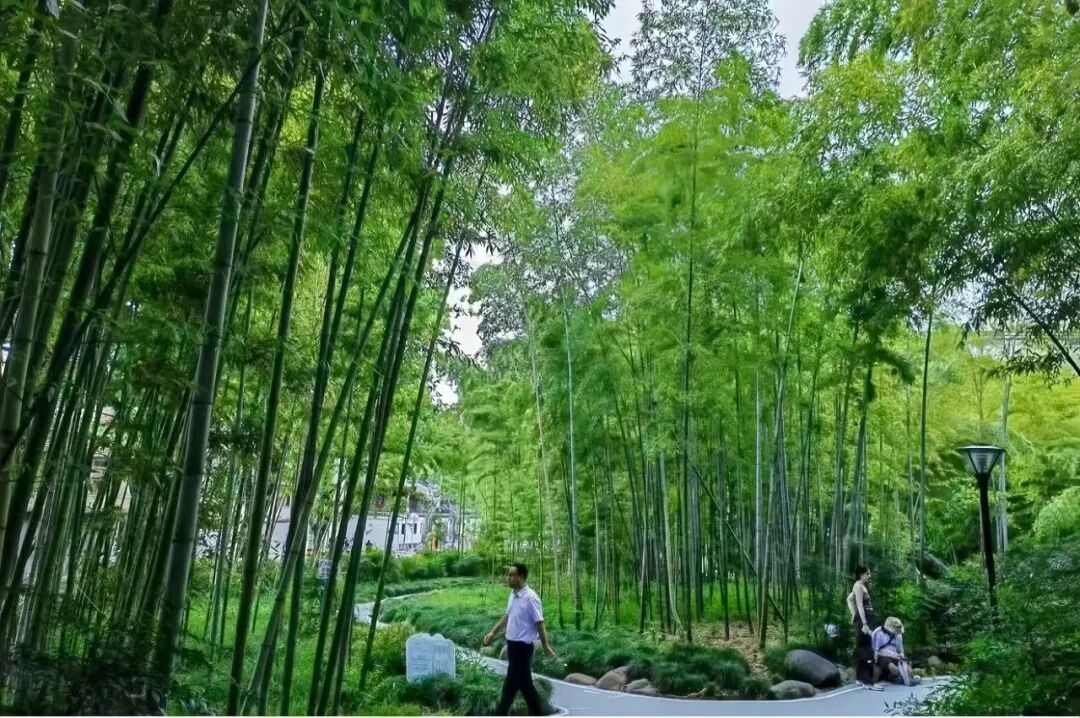 微信图片_20260903122354_483_6.jpg