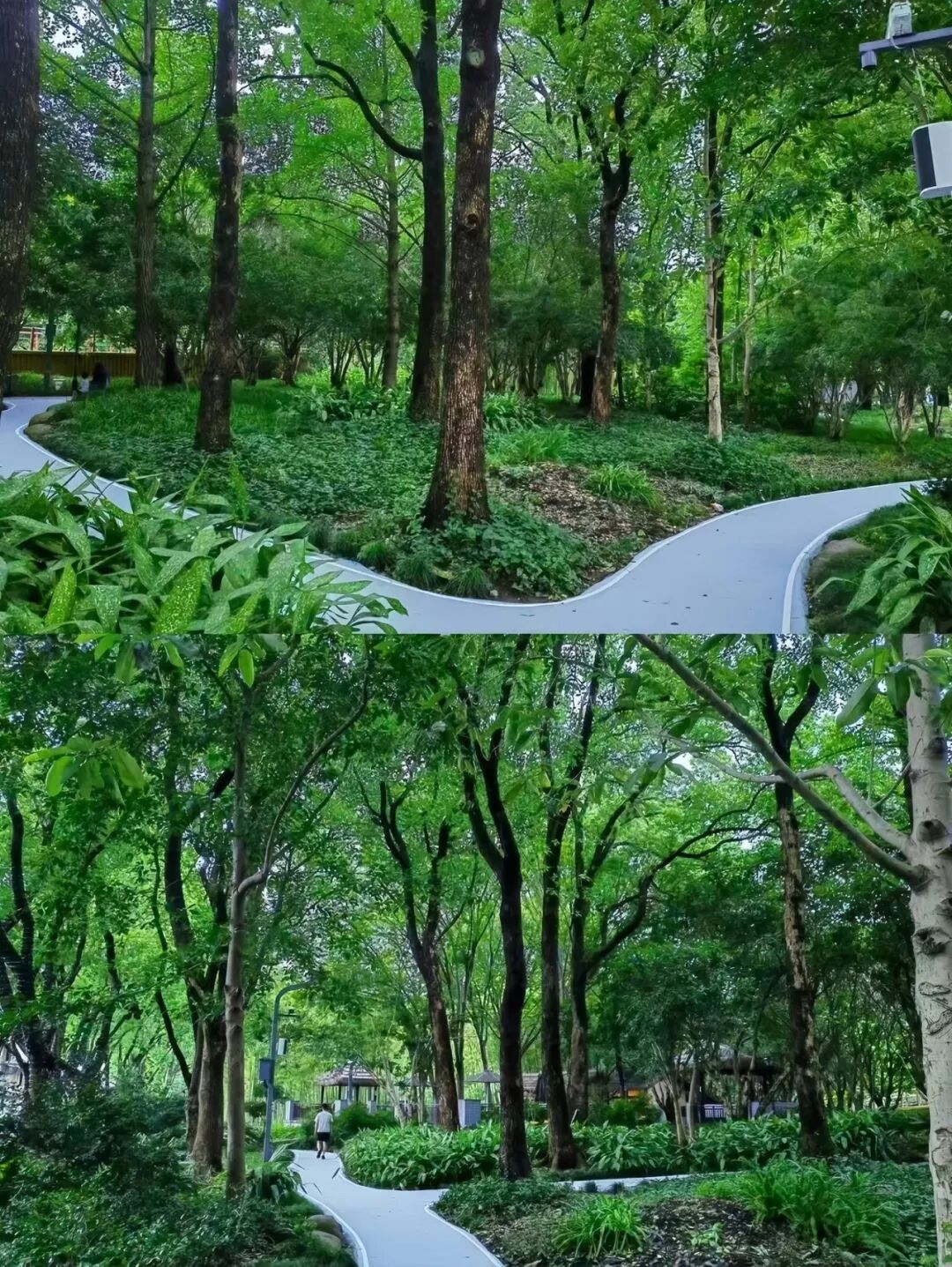 微信图片_20260903123144_484_6.jpg
