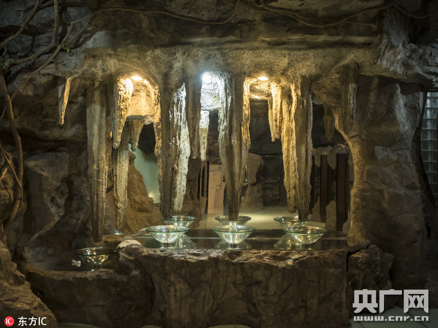 上海现奇葩钟乳石洞厕所取名逍遥洞