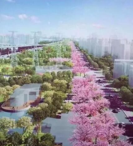　　徐汇樱花大道