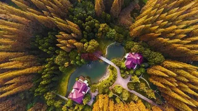 说明: http://mmbiz.qpic.cn/mmbiz_jpg/qdWB7wH8tTqicJmXqZFsj1EaEVvrh3YibZpVlHOo1bhfQOGjkgqUGeJs4IrSfia0y7X7ZB6Gj29Fl2LxbGFOZk6SQ/640?wx_fmt=jpeg&wxfrom=5&wx_lazy=1