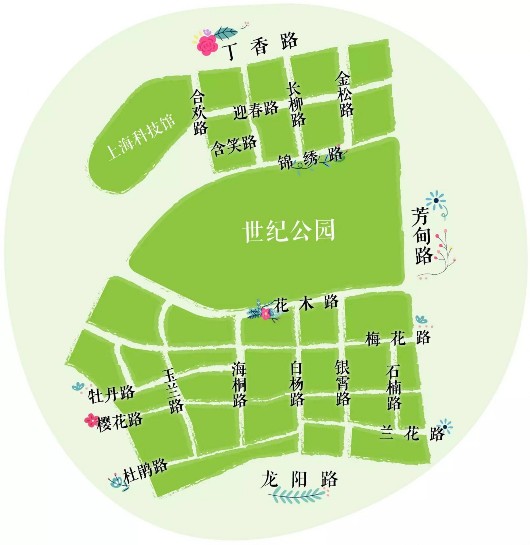 上海花木街道范围图片