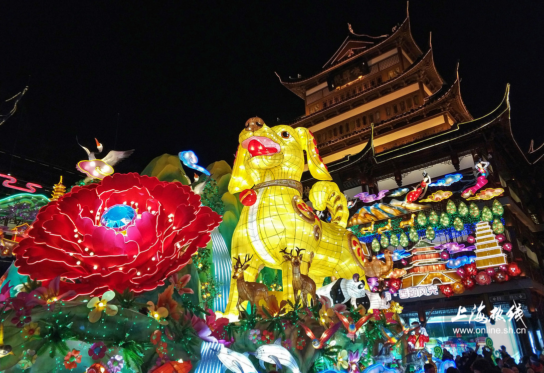 微拍上海:沒去城隍廟也能看花燈 上海元宵節豫園燈會圖賞