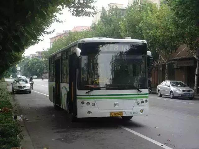 IMGbc305bcbf54a53528812655.jpg