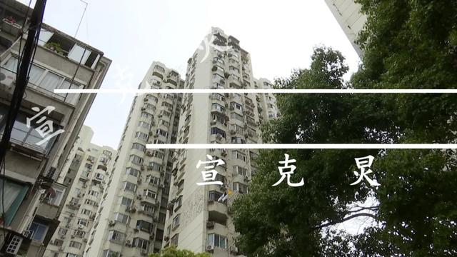 沪6旬阿姨乘电梯双腿被夹断!被拖行多个楼层|申晨间