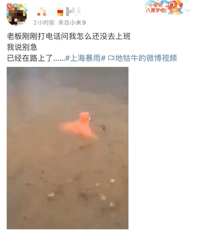 “梅”完“梅”了!上海的雨还要下多久?看了令人崩溃