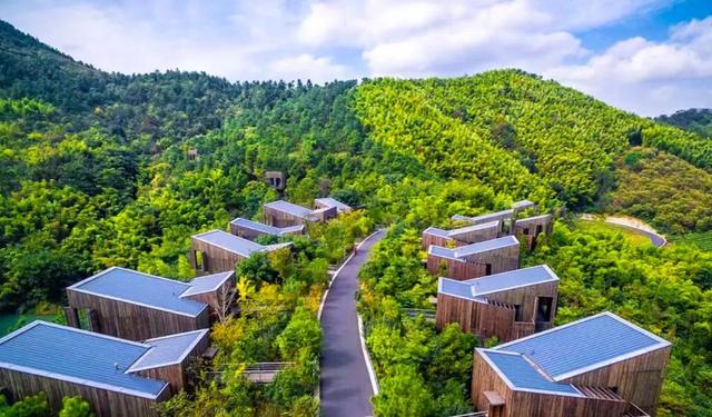 溧阳 美岕 山野温泉度假村   山林茶园间的童话树屋别墅