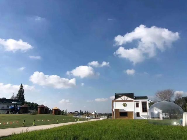 这才是金山的秋天,你心动了吗?