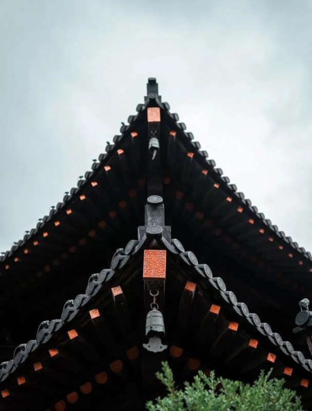 淮扬菜,老上海点心……这么多美食竟藏在松江这处景区里
