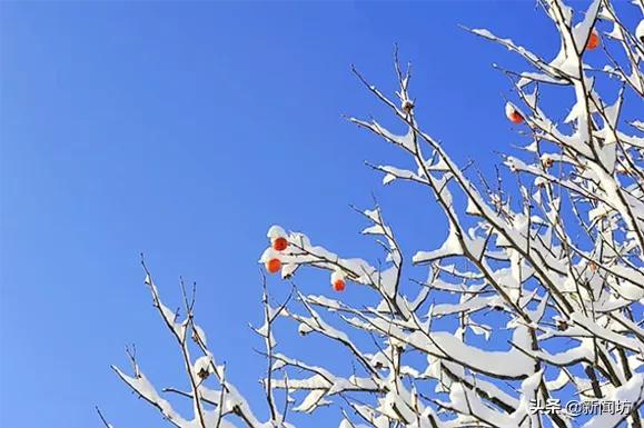 懵特!沪一小区竟被冻出“冰瀑”奇观,原因是…气温狂飙,申城又要一夜如春了