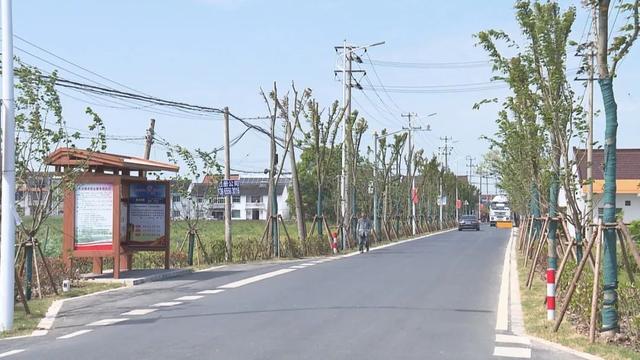 关于金山铁路、公交线路、停车难、网约车等热点问题,金山区交通委权威回应来了→