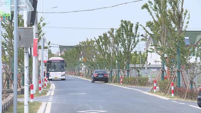 关于金山铁路、公交线路、停车难、网约车等热点问题,金山区交通委权威回应来了→