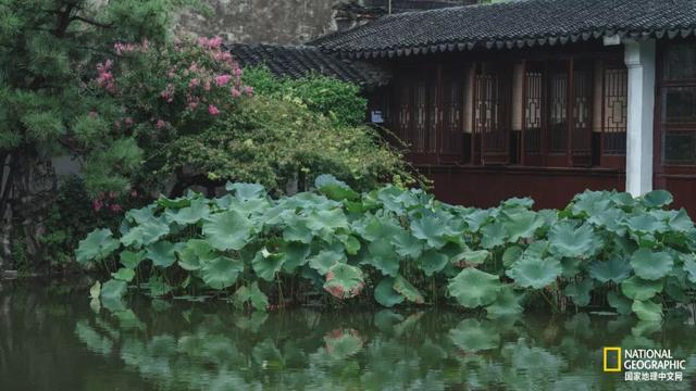 苏州园林,一篇看尽