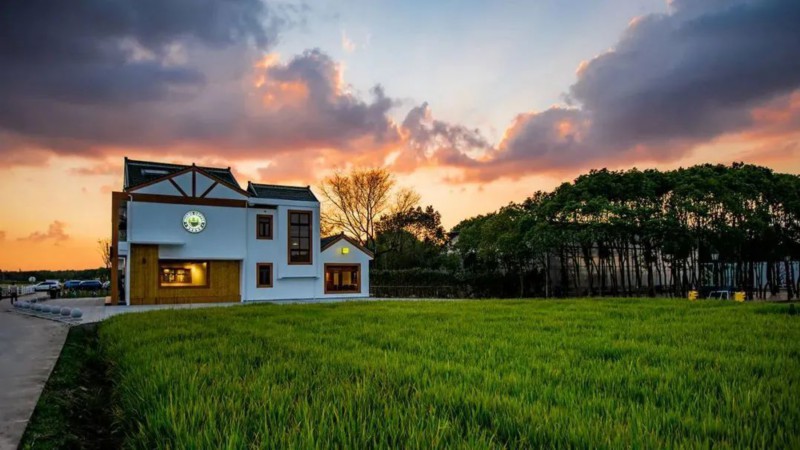 绝了上海的咖啡内卷已经这么严重了稻田里居然也长出了咖啡馆