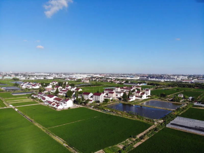 奉贤区金汇镇创造新时代令人刮目相看充满期待的和美金汇