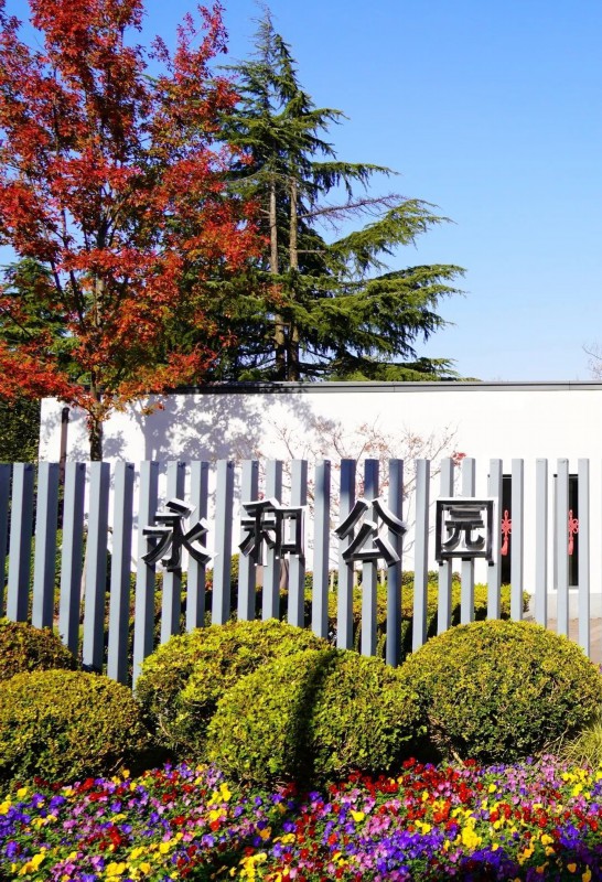 从社区绿地"破茧而出"的永和公园——上海热线hot频道