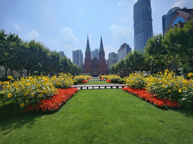 徐汇这边风景独好——上海热线hot频道