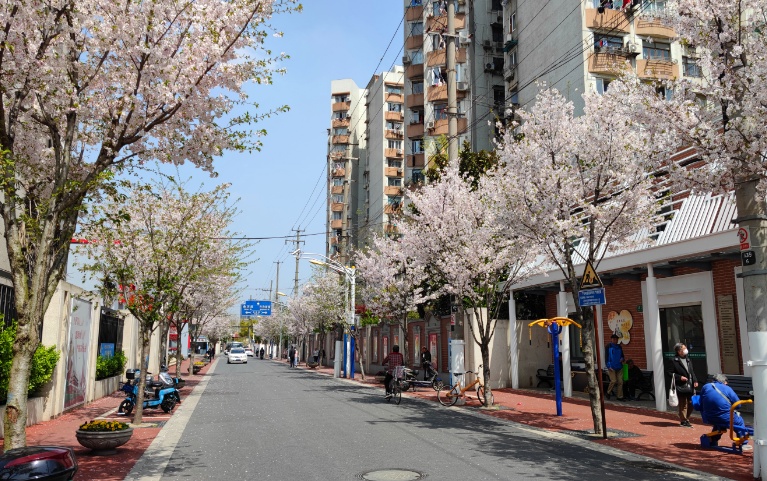 让幸福更加触手可及彭浦新村街道建设15分钟社区生活圈