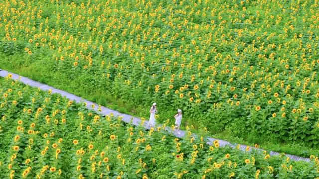 IMGf48e389446e86699725038.jpg