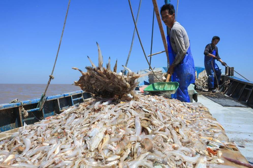 南汇新城镇辖区内的芦潮港在民国时期已成为当地渔民的重要出海口